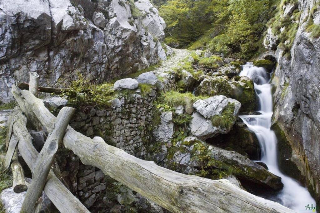 Los Molinos - Atico En Montana De Asturias Felechosa Ngoại thất bức ảnh