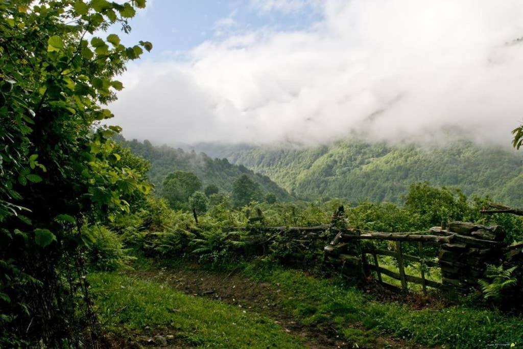 Los Molinos - Atico En Montana De Asturias Felechosa Ngoại thất bức ảnh