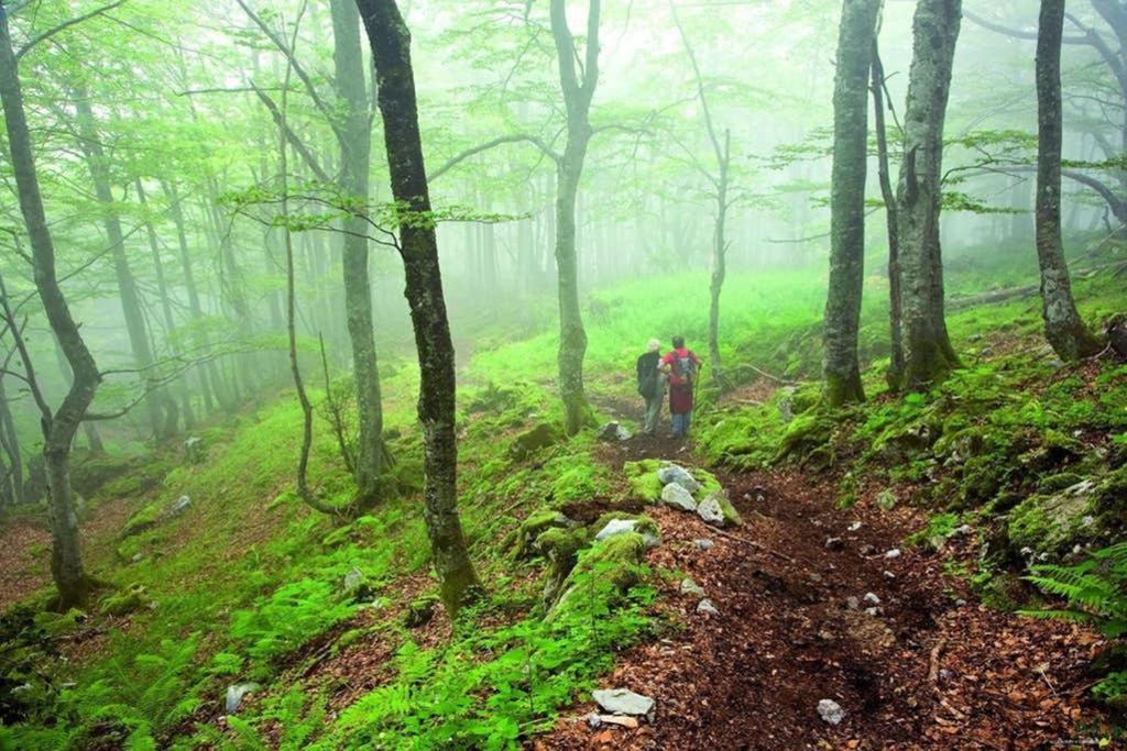 Los Molinos - Atico En Montana De Asturias Felechosa Ngoại thất bức ảnh