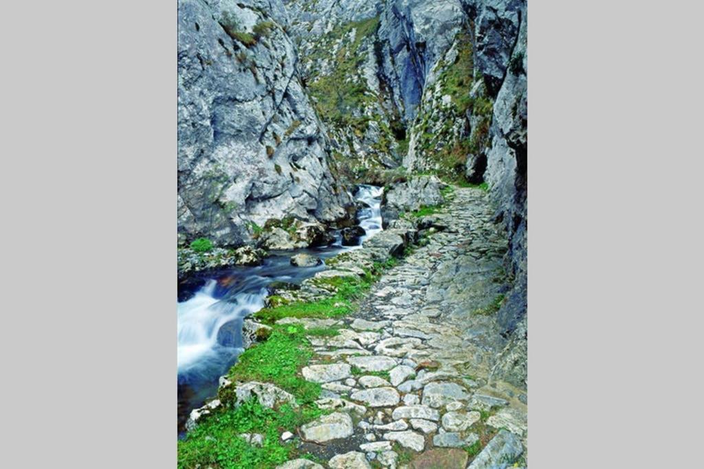 Los Molinos - Atico En Montana De Asturias Felechosa Ngoại thất bức ảnh